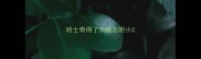 哈士奇得了犬瘟怎胆小