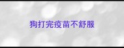 狗打完疫苗不舒服