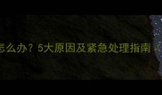 狗狗突然抽搐怎么办5大原因及紧急处理指南附兽医建议
