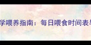 边境牧羊犬科学喂养指南每日喂食时间表与营养搭配全