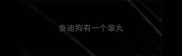 泰迪狗有一个睾丸