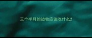 三个半月的边牧应该吃什么