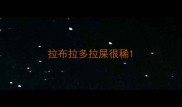 拉布拉多拉屎很稀