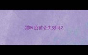 猫咪疫苗会失效吗