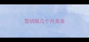 雪纳瑞几个月美容