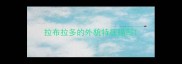 拉布拉多的外貌特征描写