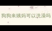 狗狗来姨妈可以洗澡吗
