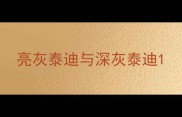 亮灰泰迪与深灰泰迪