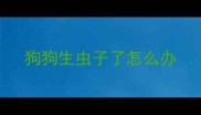 狗狗生虫子了怎么办
