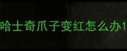 哈士奇爪子变红怎么办
