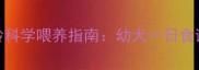 边境牧羊犬5月龄科学喂养指南幼犬一日食谱与营养配比全