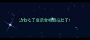 边牧吃了变质食物后拉肚子