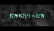 拉布拉打什么疫苗