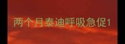 两个月泰迪呼吸急促