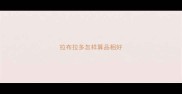 拉布拉多怎样算品相好