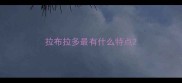 拉布拉多最有什么特点