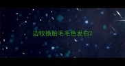 边牧换胎毛毛色发白