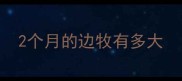 2个月的边牧有多大