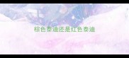 棕色泰迪还是红色泰迪