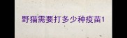 野猫需要打多少种疫苗