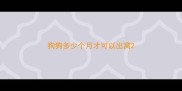 狗狗多少个月才可以出窝
