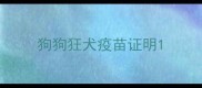 狗狗狂犬疫苗证明