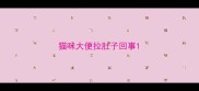 猫咪大便拉肚子回事
