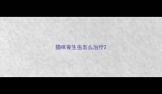 猫咪寄生虫怎么治疗