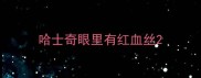 哈士奇眼里有红血丝