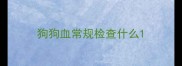 狗狗血常规检查什么