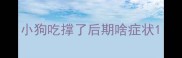 小狗吃撑了后期啥症状