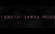 猫抓伤必看疫苗打几针注意事项全附打疫苗时间表