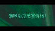 猫咪治疗感冒价格
