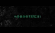 长春宠物美容那家好