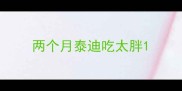 两个月泰迪吃太胖