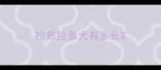 拉布拉多犬有多长