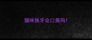 猫咪换牙会口臭吗