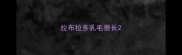 拉布拉多乳毛很长