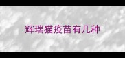 辉瑞猫疫苗有几种