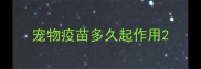 宠物疫苗多久起作用