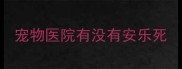 宠物医院有没有安乐死