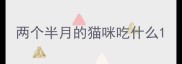 两个半月的猫咪吃什么