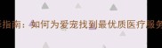 宠物医院选择指南如何为爱宠找到最优质医疗服务的五大关键