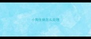 小狗生病怎么处理