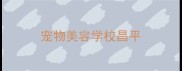 宠物美容学校昌平