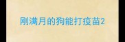 刚满月的狗能打疫苗