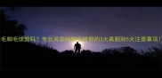 金毛脚毛该剪吗专业美容师脚毛修剪的3大真相和5大注意事项