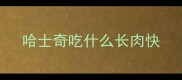 哈士奇吃什么长肉快