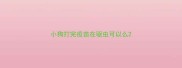 小狗打完疫苗在驱虫可以么