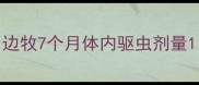边牧7个月体内驱虫剂量